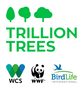 Aberdeenshire Logs Proudly Supports the Trillion Trees Initiative